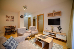 Apartman Raskovic 1 - Balkan Hill 2, Vila Pekovic